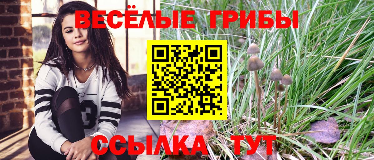 Ишимбай  Галлюциногенные грибы MAGIC MUSHROOMS  где купить   Вход с VPN 