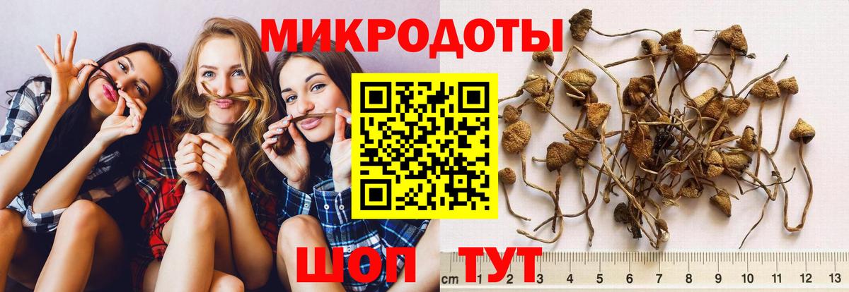 Псилоцибиновые грибы ЛСД Ишимбай